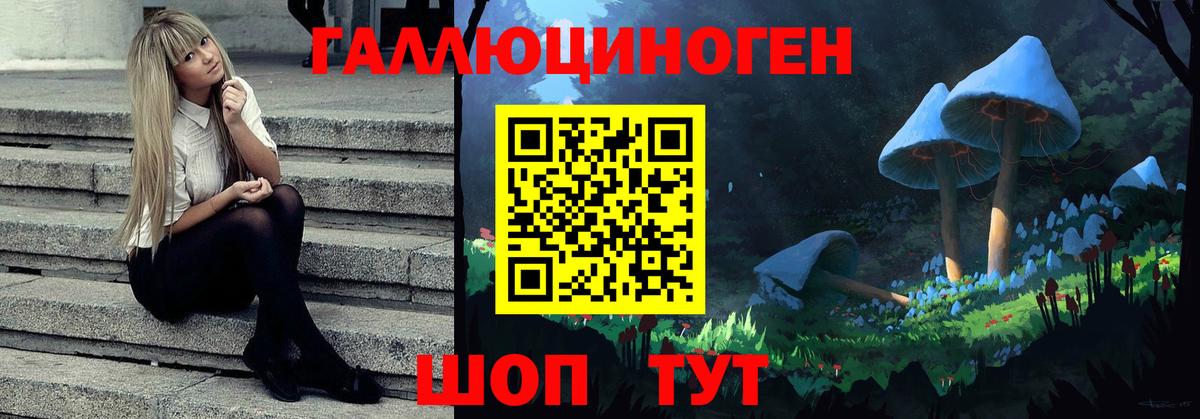 Углич  Галлюциногенные грибы Psilocybe  Вход с VPN 